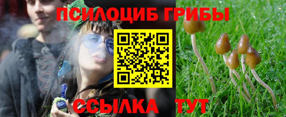 Псилоцибиновые грибы Psilocybine cubensis  Вход с VPN  где купить наркоту  Кунгур  Галлюциногенные грибы прущие грибы 